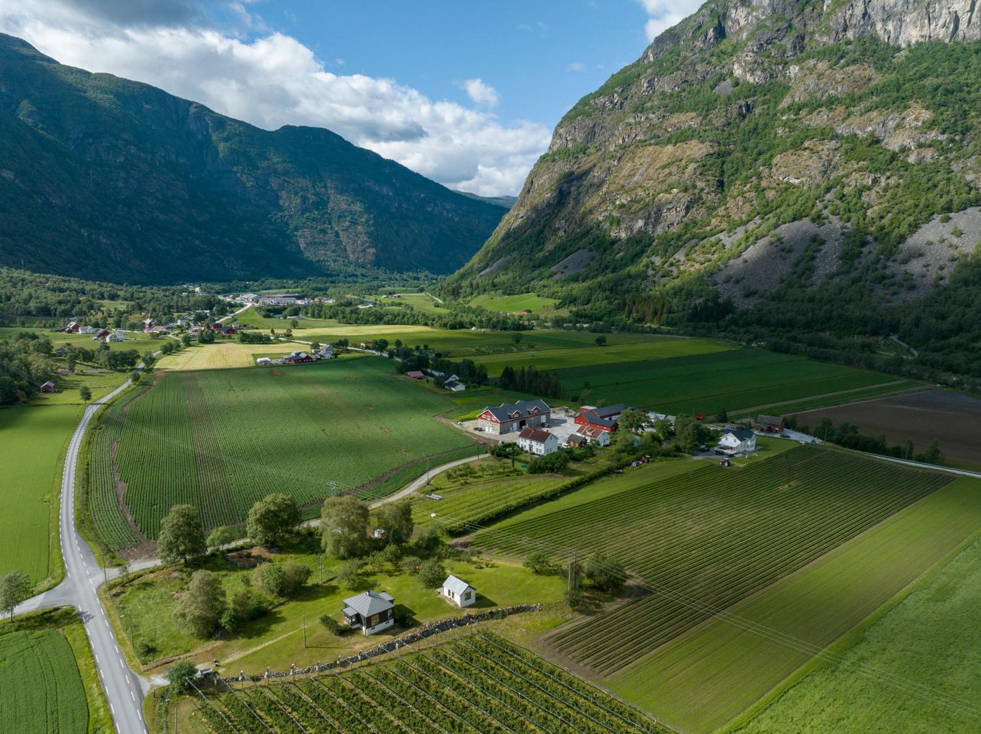 Jordeplegarden Holiday Home - Part Of A Farm - Two Buildings - Close To Flam Lærdalsøyri Dış mekan fotoğraf